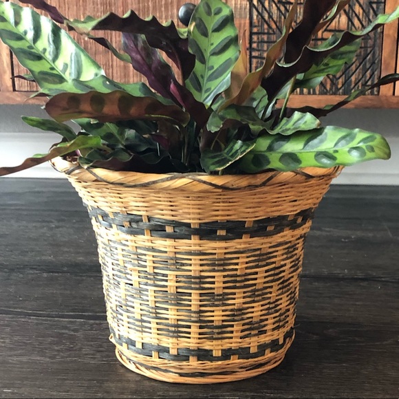 Vintage Boho Wicker Basket